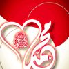 _nisar4