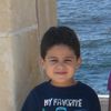 alimahmoud660