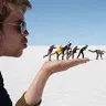 funnyvines29