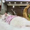 queen_duskiii