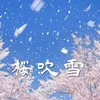nao_2737