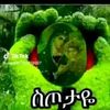 user79424211