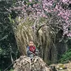 Anh Thư cute