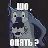 000000000alex000000000