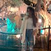 orian_afengarr