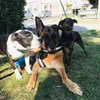 lulu_e_family