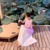 dty_512