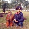 sunsheikh