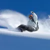 wwwalexander.com