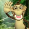 monkey.png1