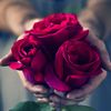 adel_001177
