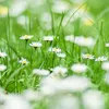 hoanqkeanq36568.good