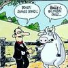 user94105664042355