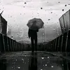 bii_sb.93