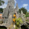 p.tzhuongo1_