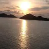 stephaniewiley3
