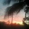 bermudakrish