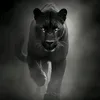 black__.__panther