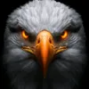 eaglevision00