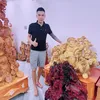 Phan minh lãm