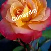 hayatt01