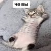 isochka_1