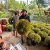 võ trung tính