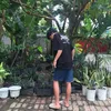 toto_yob