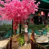 thuhien20122007