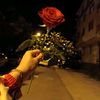 gokcen_50