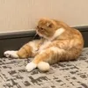 bbeetthhaannn