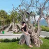 lamuyen_19