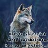 karadenizlim.5534