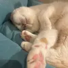 ujgjx