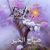 abo.mohamd580