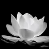 thuongbh123