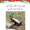 muhammadfahad971