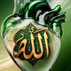 someja.islam