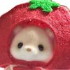chococi_23