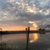 trongthuan56