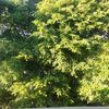 unknown_123456789101111