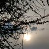 quraninsights888