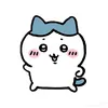 _honggam_inh.s1