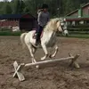 horseandponny