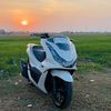 pcxwhite3