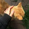 timir.indi