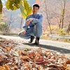 nguyenbo01