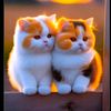 witri_ds