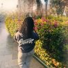 brll_s