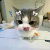iumycay69